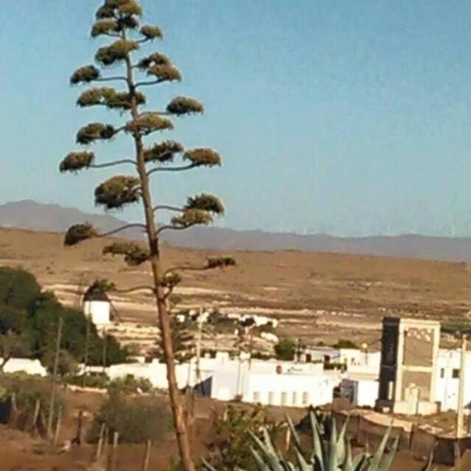 Casa Rural El Jazminero Fernan Perez Kültér fotó